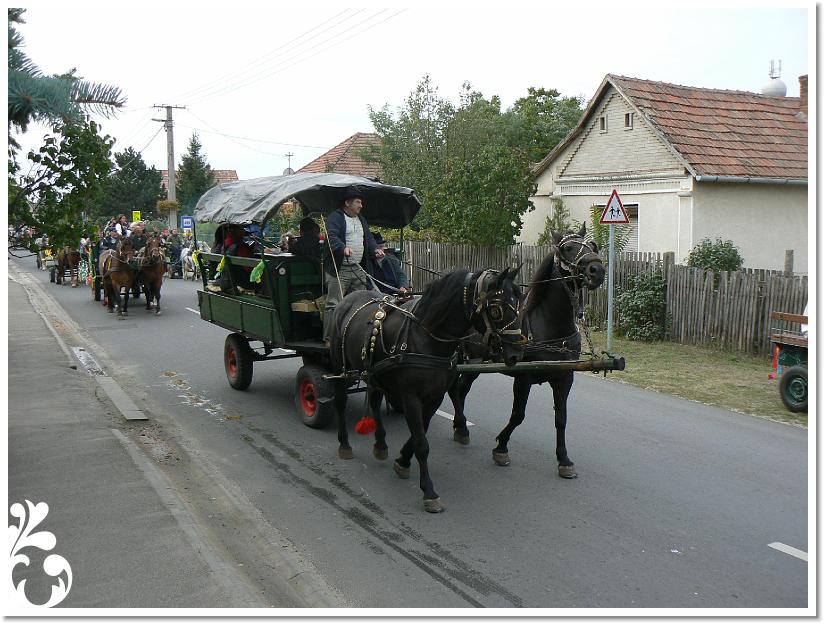 Szuret Felv es Bal_072